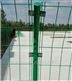 绿色金属围栏护栏网钢丝网防护网道路铁丝网
